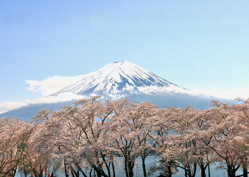 富士山8